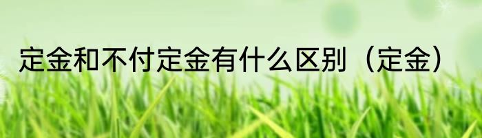 定金和不付定金有什么区别（定金）