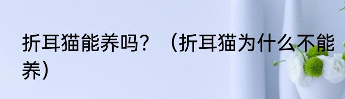 折耳猫能养吗？（折耳猫为什么不能养）