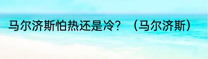 马尔济斯怕热还是冷？（马尔济斯）
