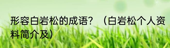 形容白岩松的成语？（白岩松个人资料简介及）