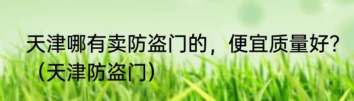 天津哪有卖防盗门的，便宜质量好？（天津防盗门）
