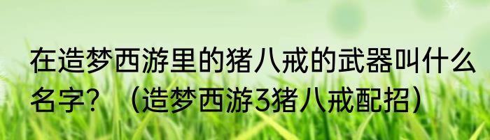 在造梦西游里的猪八戒的武器叫什么名字？（造梦西游3猪八戒配招）