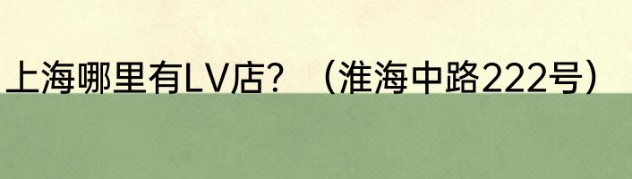 上海哪里有LV店？（淮海中路222号）