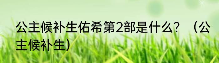 公主候补生佑希第2部是什么？（公主候补生）