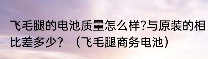 飞毛腿的电池质量怎么样?与原装的相比差多少？（飞毛腿商务电池）