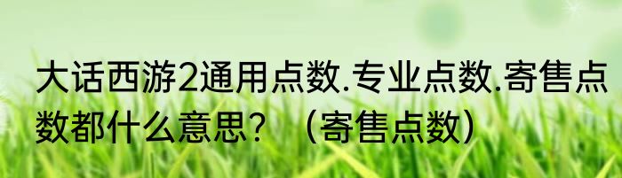 大话西游2通用点数.专业点数.寄售点数都什么意思？（寄售点数）