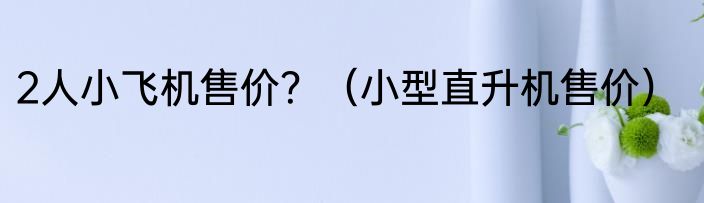 2人小飞机售价？（小型直升机售价）