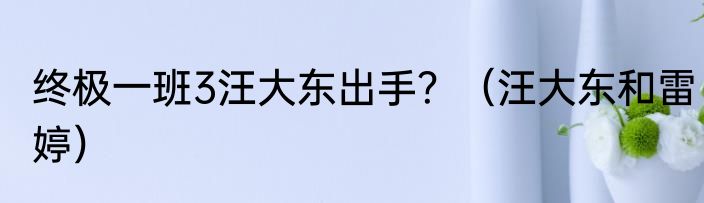 终极一班3汪大东出手？（汪大东和雷婷）