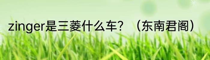 zinger是三菱什么车？（东南君阁）