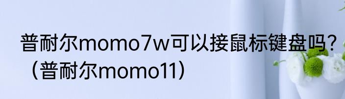 普耐尔momo7w可以接鼠标键盘吗？（普耐尔momo11）