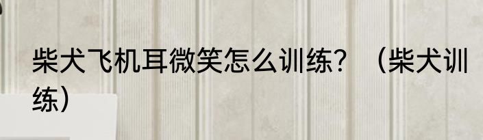 柴犬飞机耳微笑怎么训练？（柴犬训练）