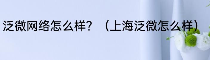 泛微网络怎么样？（上海泛微怎么样）