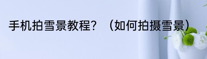 手机拍雪景教程？（如何拍摄雪景）