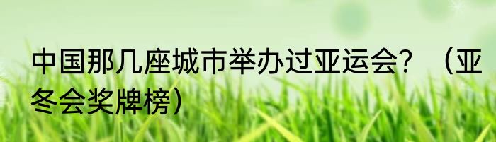 中国那几座城市举办过亚运会？（亚冬会奖牌榜）