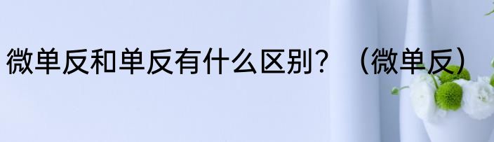 微单反和单反有什么区别？（微单反）