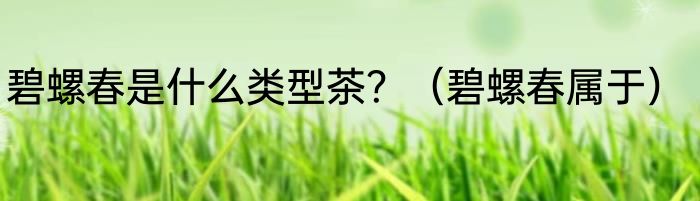 碧螺春是什么类型茶？（碧螺春属于）