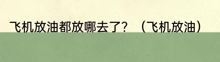 飞机放油都放哪去了？（飞机放油）