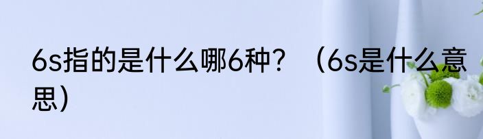 6s指的是什么哪6种？（6s是什么意思）