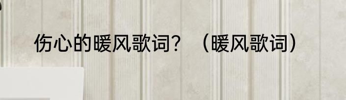 伤心的暖风歌词？（暖风歌词）