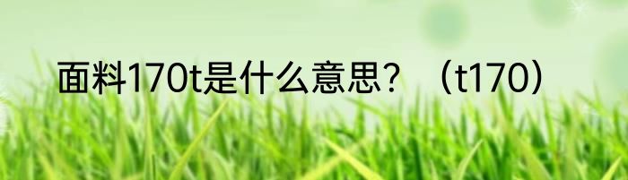 面料170t是什么意思？（t170）