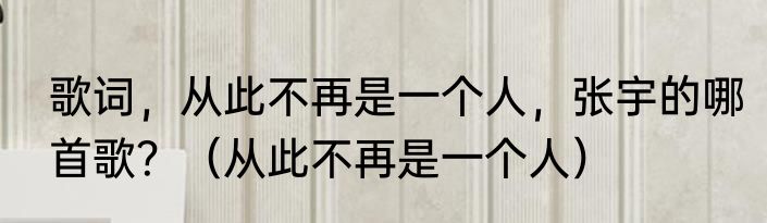 歌词，从此不再是一个人，张宇的哪首歌？（从此不再是一个人）