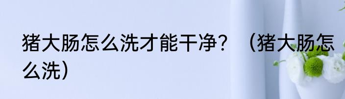 猪大肠怎么洗才能干净？（猪大肠怎么洗）