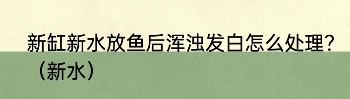 新缸新水放鱼后浑浊发白怎么处理？（新水）