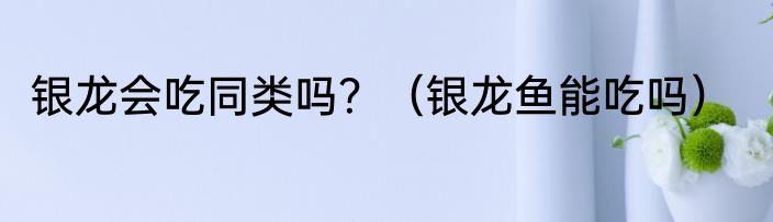 银龙会吃同类吗？（银龙鱼能吃吗）
