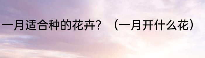 一月适合种的花卉？（一月开什么花）