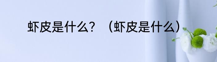 虾皮是什么？（虾皮是什么）