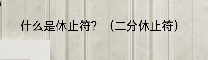 什么是休止符？（二分休止符）