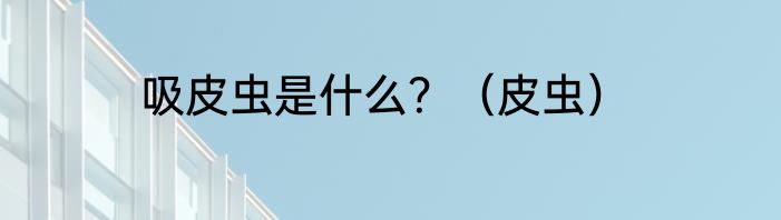 吸皮虫是什么？（皮虫）