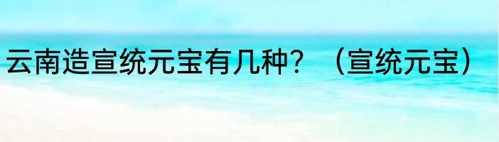 云南造宣统元宝有几种？（宣统元宝）