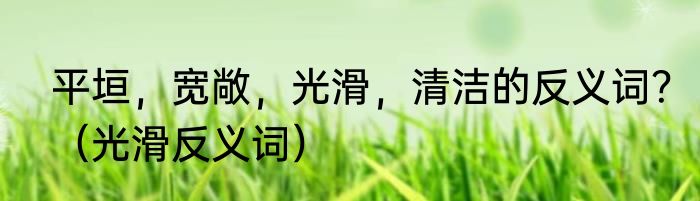 平垣，宽敞，光滑，清洁的反义词？（光滑反义词）