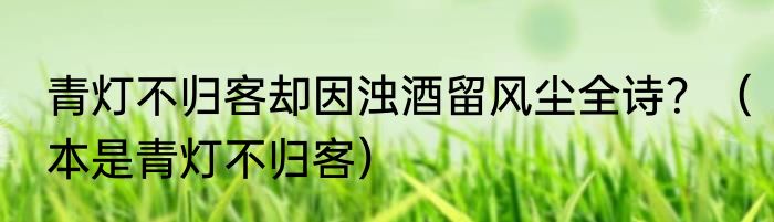 青灯不归客却因浊酒留风尘全诗？（本是青灯不归客）