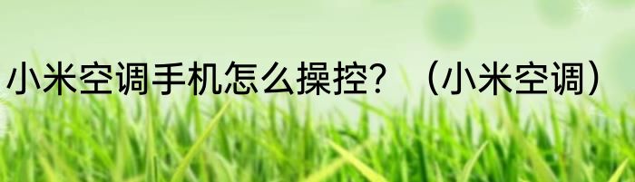 小米空调手机怎么操控？（小米空调）