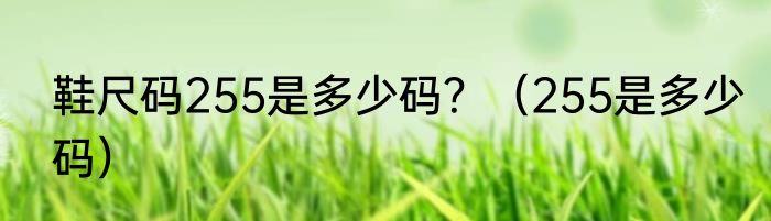 鞋尺码255是多少码?(255是多少码)