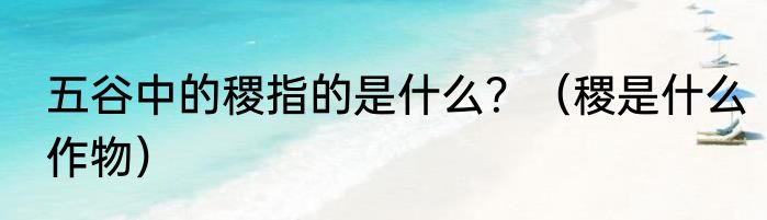 五谷中的稷指的是什么？（稷是什么作物）