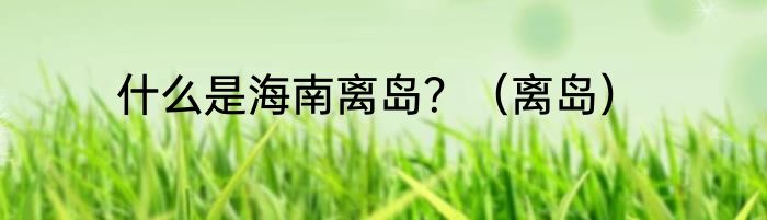 什么是海南离岛？（离岛）
