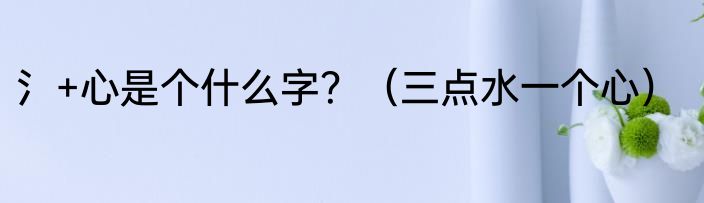 氵+心是个什么字？（三点水一个心）