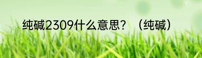 纯碱2309什么意思？（纯碱）