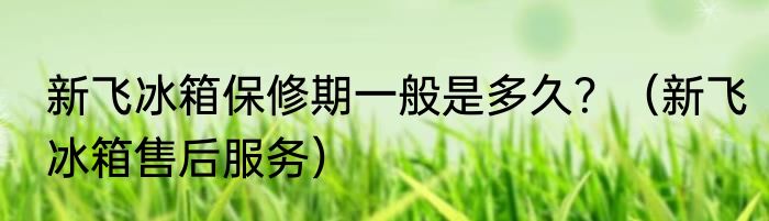 新飞冰箱保修期一般是多久？（新飞冰箱售后服务）