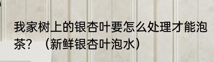 我家树上的银杏叶要怎么处理才能泡茶？（新鲜银杏叶泡水）