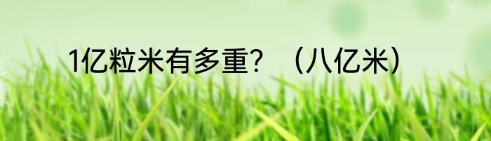 1亿粒米有多重？（八亿米）