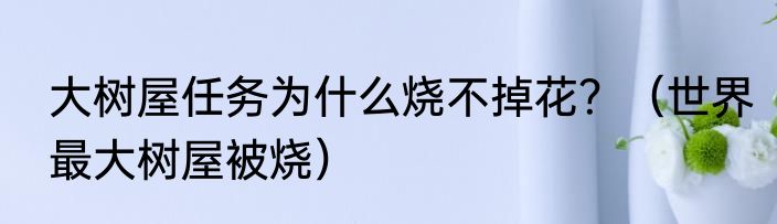 大树屋任务为什么烧不掉花？（世界最大树屋被烧）