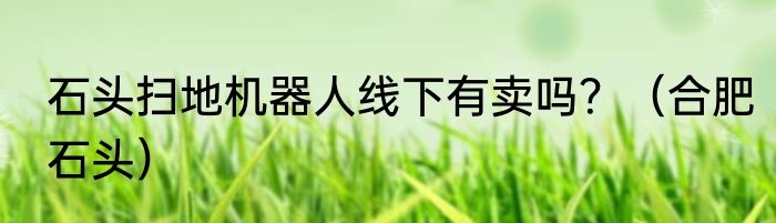 石头扫地机器人线下有卖吗？（合肥石头）