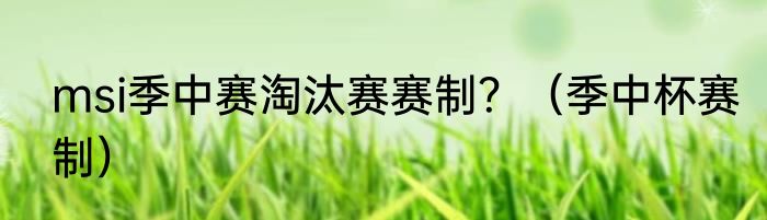 msi季中赛淘汰赛赛制？（季中杯赛制）