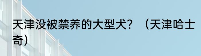 天津没被禁养的大型犬？（天津哈士奇）