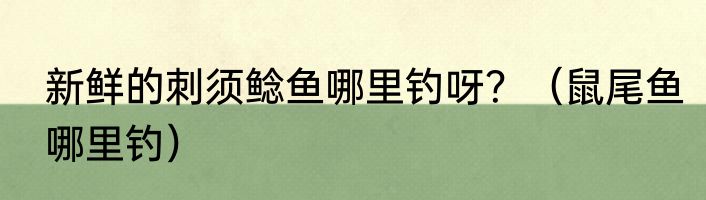 新鲜的刺须鲶鱼哪里钓呀？（鼠尾鱼哪里钓）