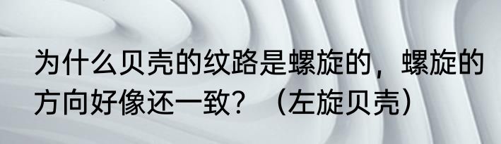 为什么贝壳的纹路是螺旋的，螺旋的方向好像还一致？（左旋贝壳）
